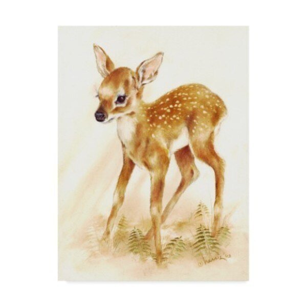 Peggy Harris 'Fawn' Canvas Art, 24x32, Trademark Fine Art, Mfr#: ALI42401-C2432GG
